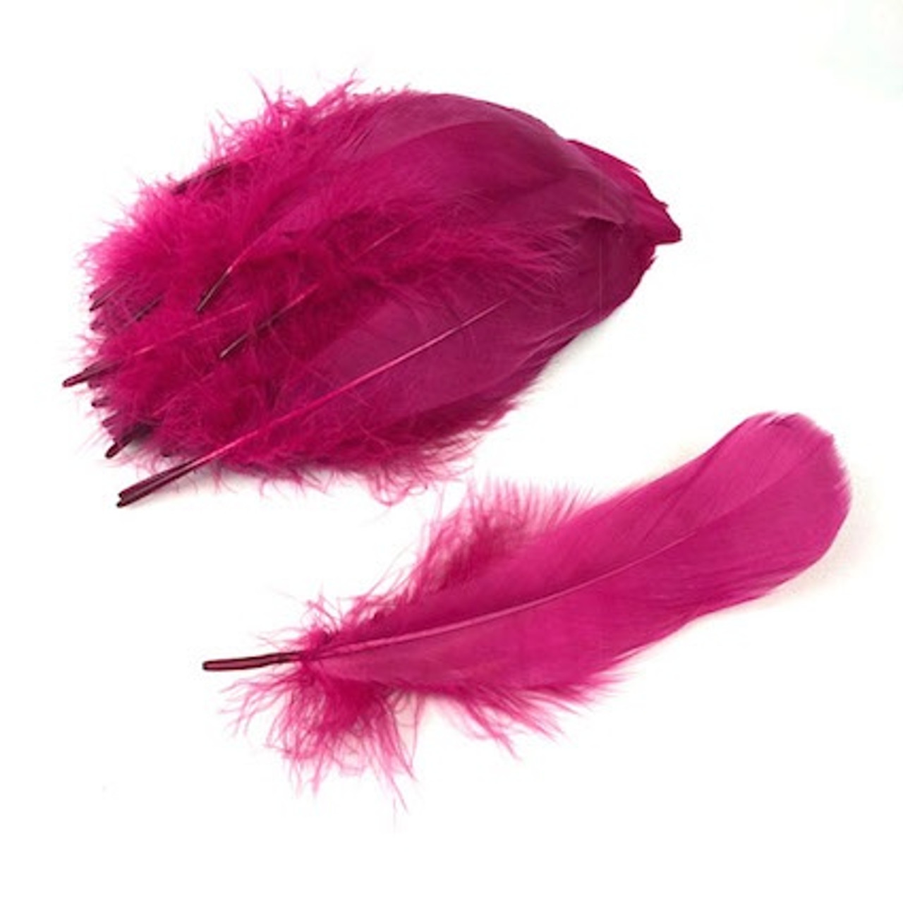 Goose Nagorie Feathers Dyed - White