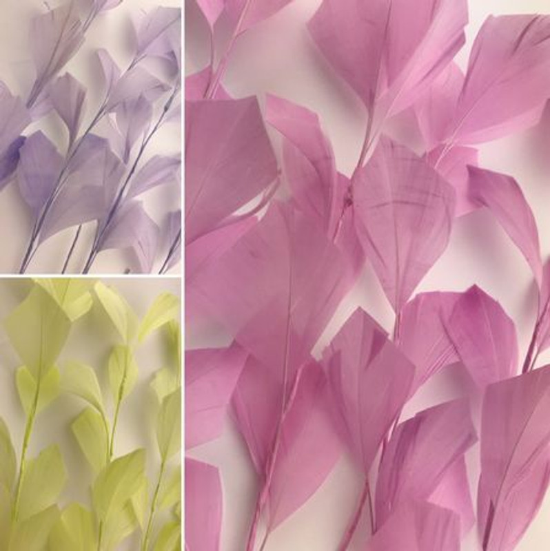 Feather Stems