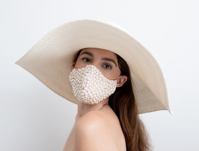 The Pandemic Project Book Part 1.  The Pandemic Project Book Part 1.