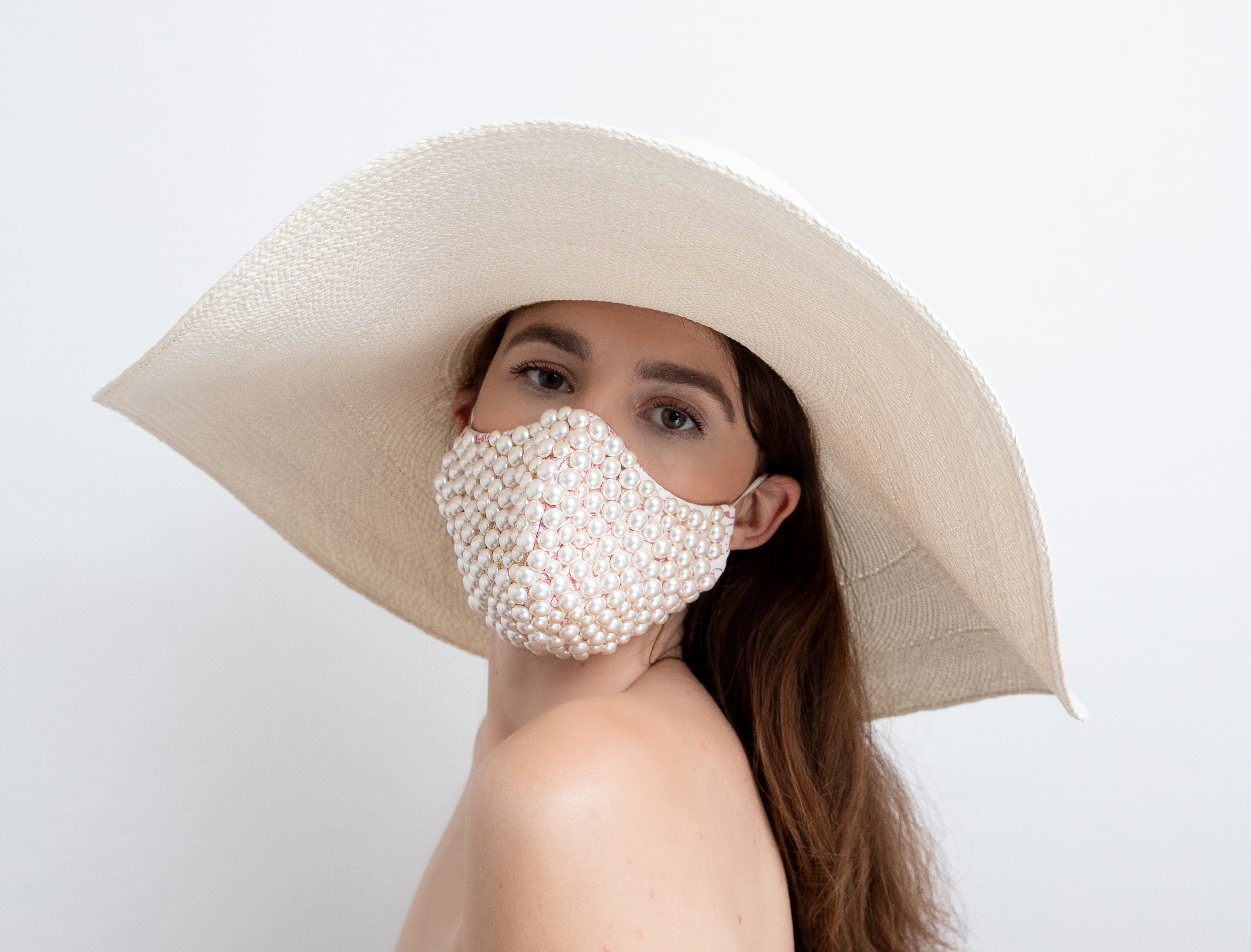 The Pandemic Project Book Part 1.