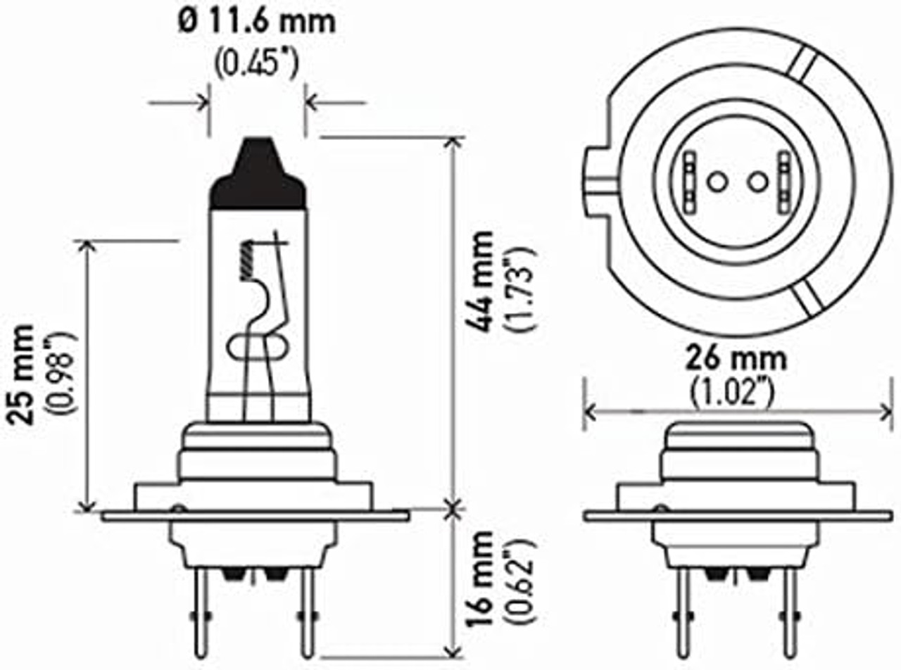 H7  Halogen Bulb