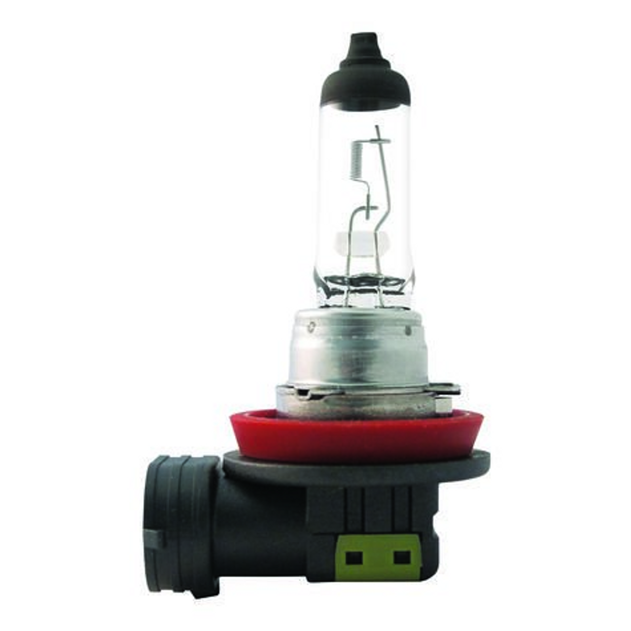 H11  Halogen Bulb