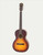 ARIA 131 MTTS Aria acoustic Matte Tobacco Sunburst