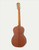 ARIA 131 MTTS Aria acoustic Matte Tobacco Sunburst