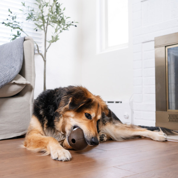 Planet Dog Orbee-Tuff Football Treat-Dispensing Dog Chew Toy