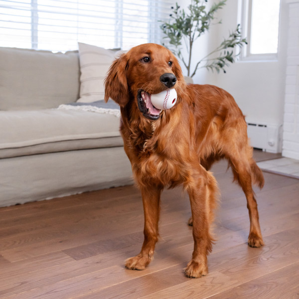 【Lサイズ】ORB TEASER TEE / OFF WHITE チ。 ORB TEASER TEE / OFF WHITE – VAULTROOM