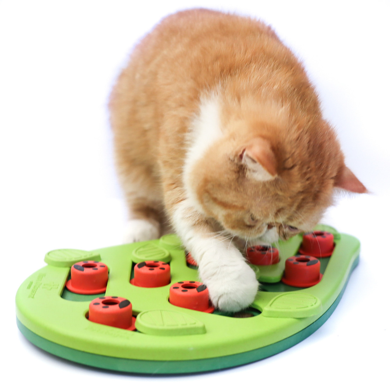 Nina Ottosson Rainy Day Puzzle & Play Cat Game - Shop Outward Hound Pet  Toys - Pinkoi