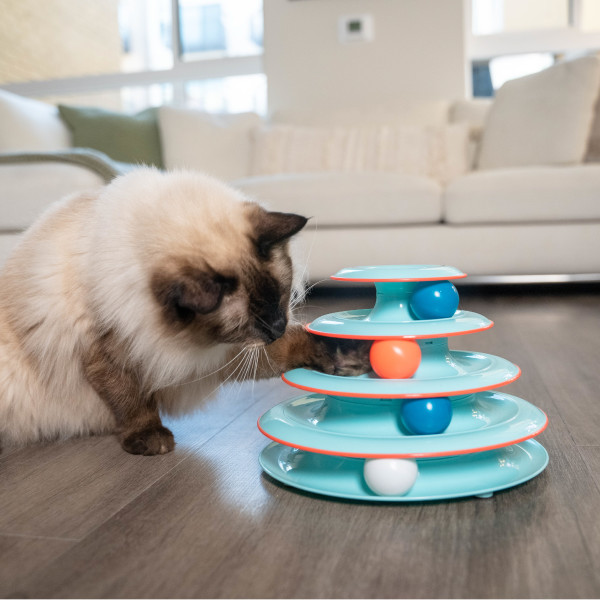 Petstages Chase Meowtain Cat Track Toy, Blue, One-Size