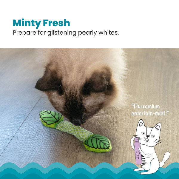 remote mouse cat toy Remote Control Mouse Interactive Cat Toy – Always Whiskered main image 1