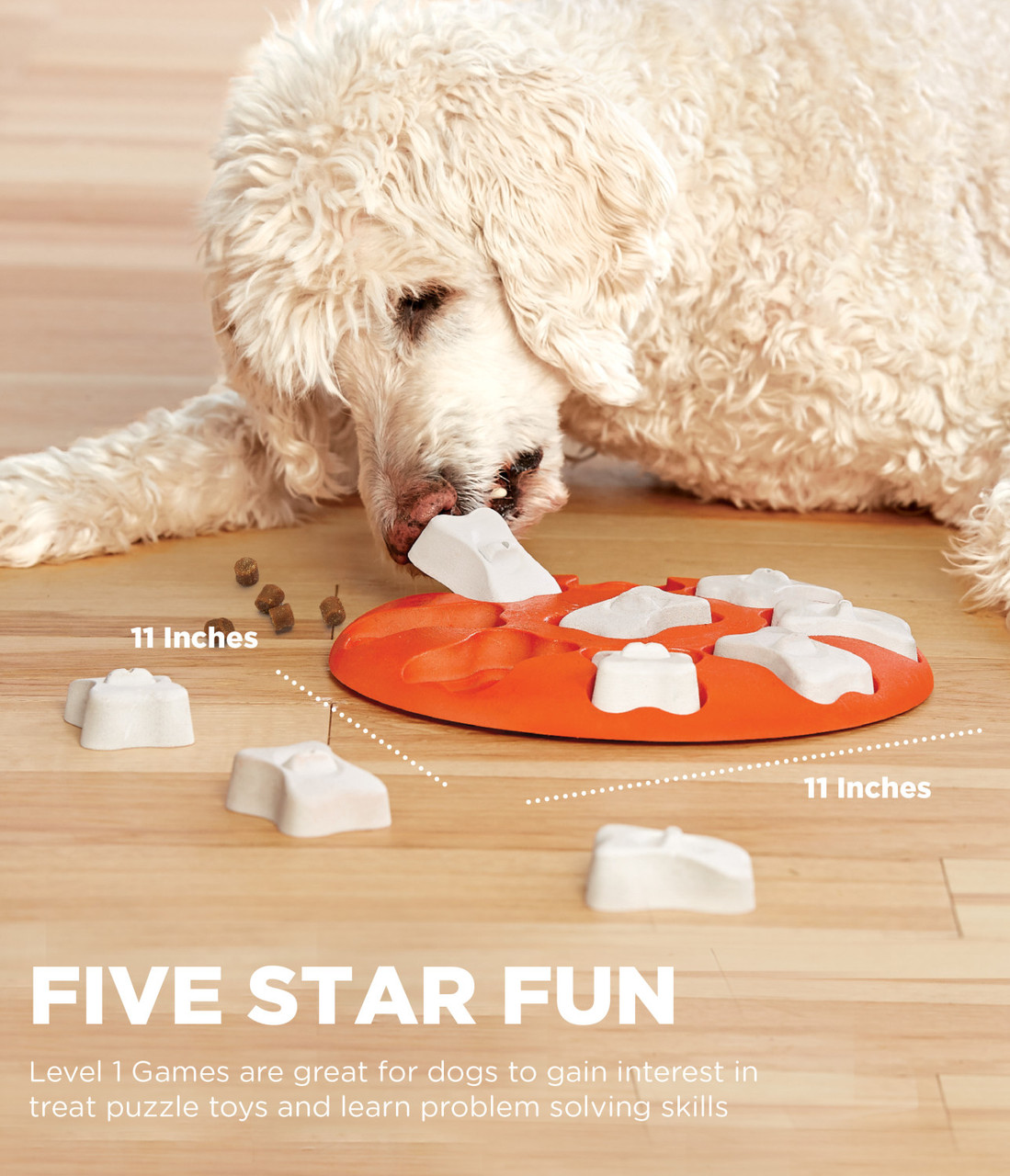 Nina Ottosson Smart Puzzle Dog Toy – Paws For Enrichment