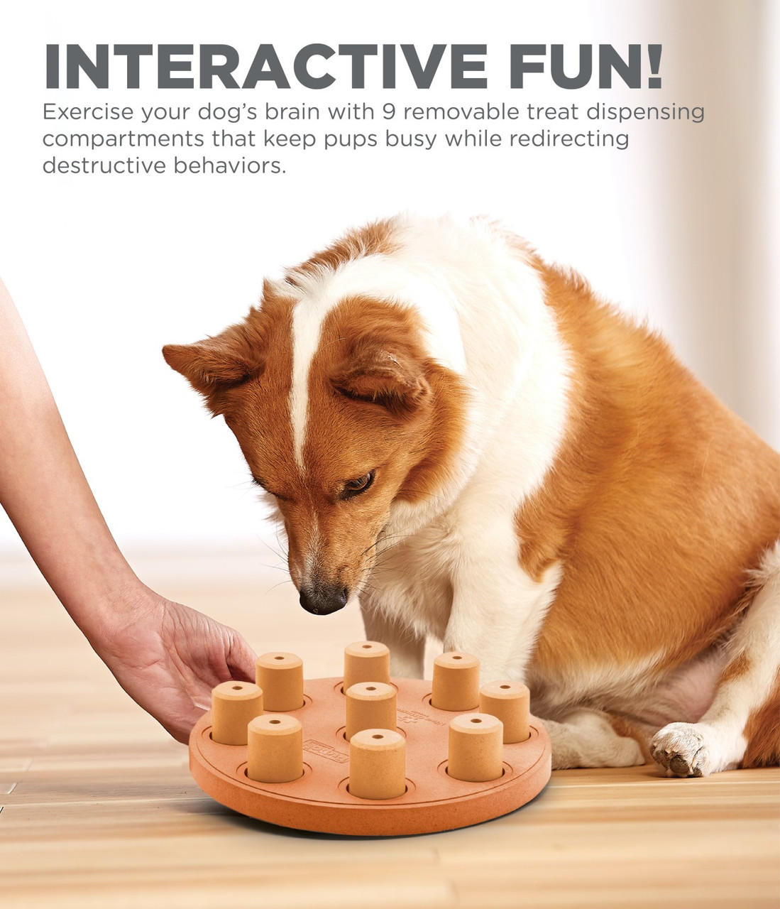 Challenge Your Dog's Mind With Interactive Treat Dispensing Puzzle Toys -  Perfect For Small & Medium Dogs! - Temu