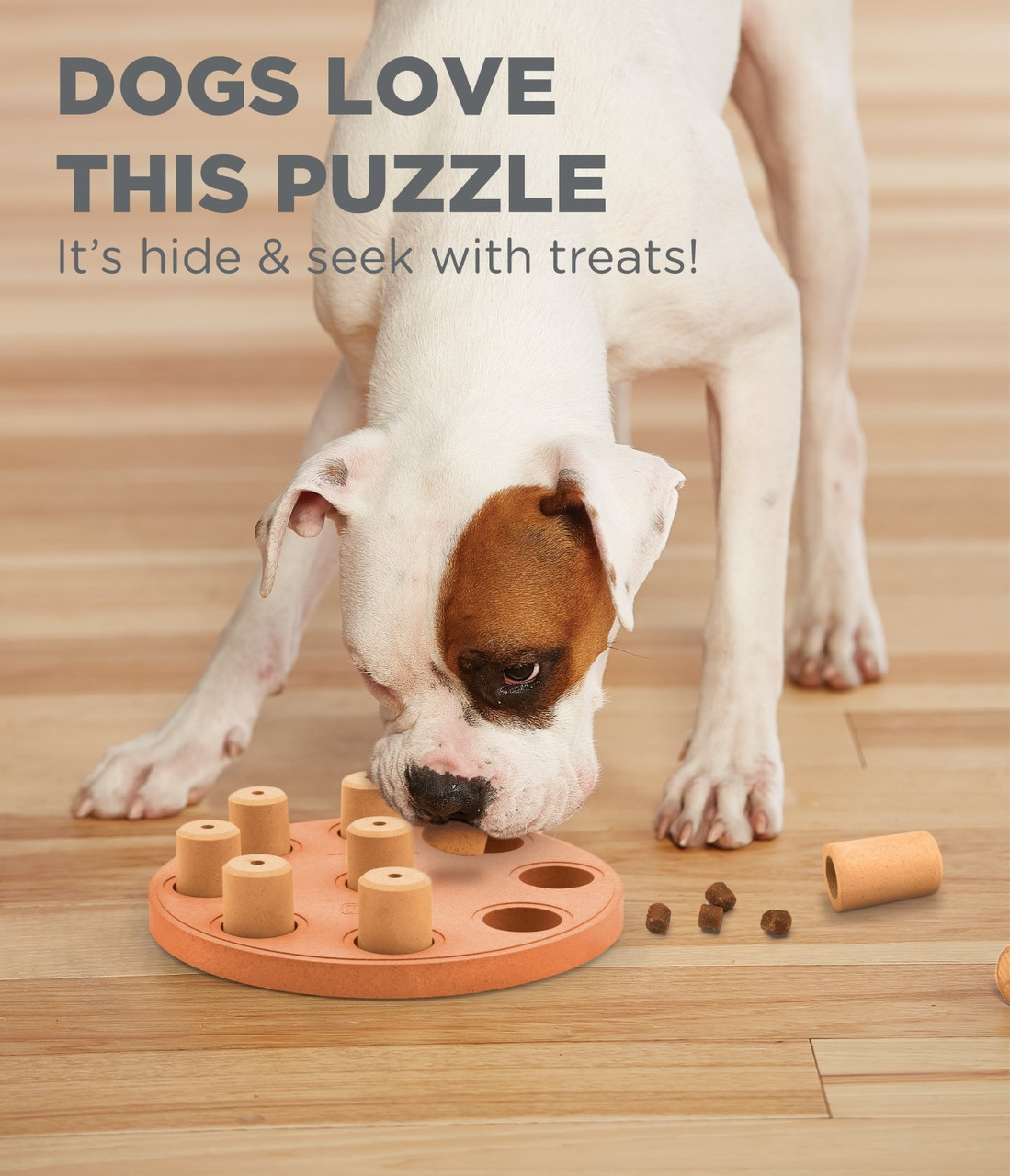 ONE PIX Dog Puzzle Toys, Level 3 in 1 Interactive Dog Toys for Smart Dogs,  Dog