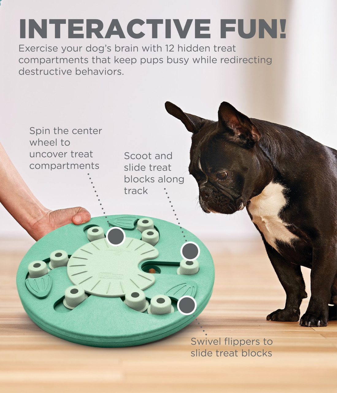 Nina Ottosson by Outward Hound Interactive Dog Game Twister – CANIS  CALLIDUS Quality Dog Supplies from Europe