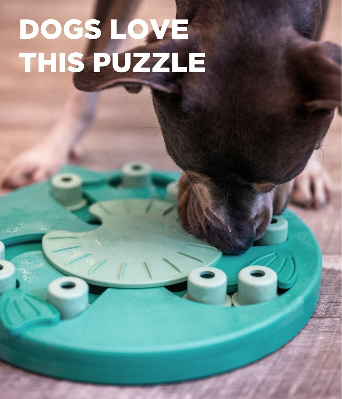 Dog Worker Interactive Treat Puzzle Dog Toy, Green
