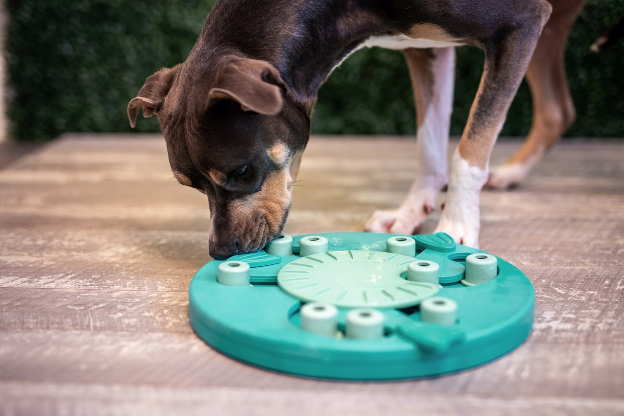 Outward Hound Worker Interactive Puzzle Dog Toy- Green