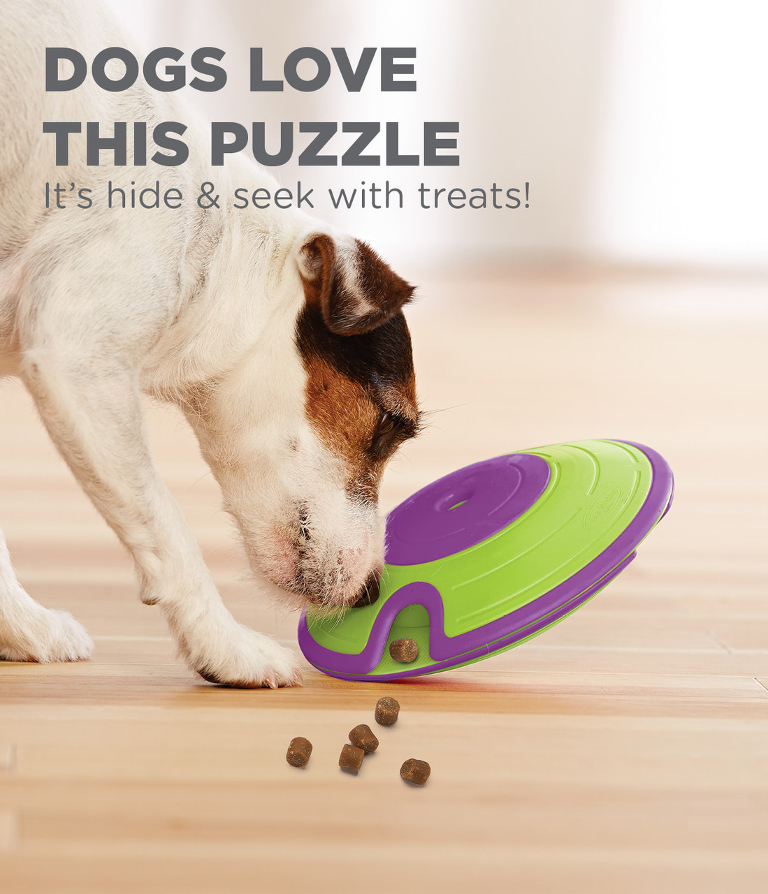 Save on a fun treat puzzle that'll help you train your dog