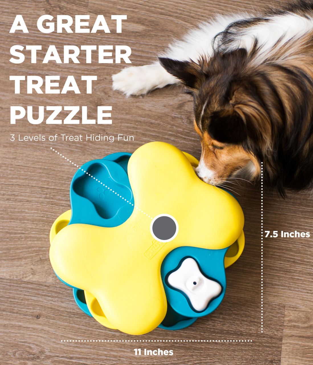 MultiPuzzle Dog Puzzle Toy – Rover Store