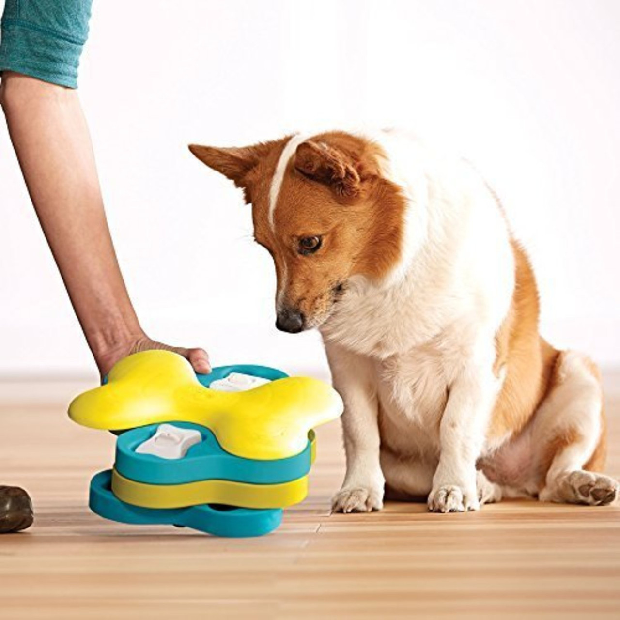  TBC PET Dog Puzzle Toy, Interactive Dog Toys Treat