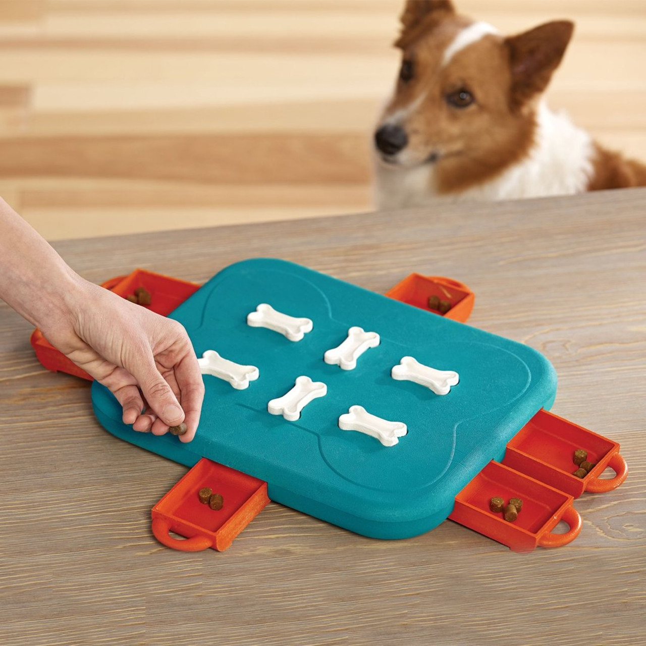 Outward Hound Nina Ottosson Interactive Puzzle Game Dog Toys – Pet Friendly  Rugs