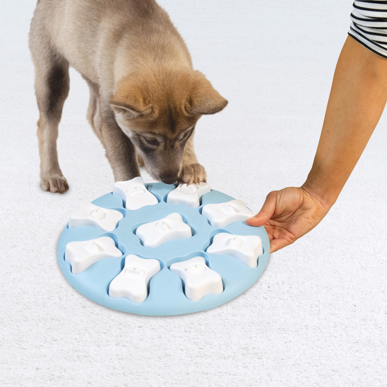 Interactive Dog Puzzle Toy Level 1 Mentally Stimulating Dog Smart Orange  Treat