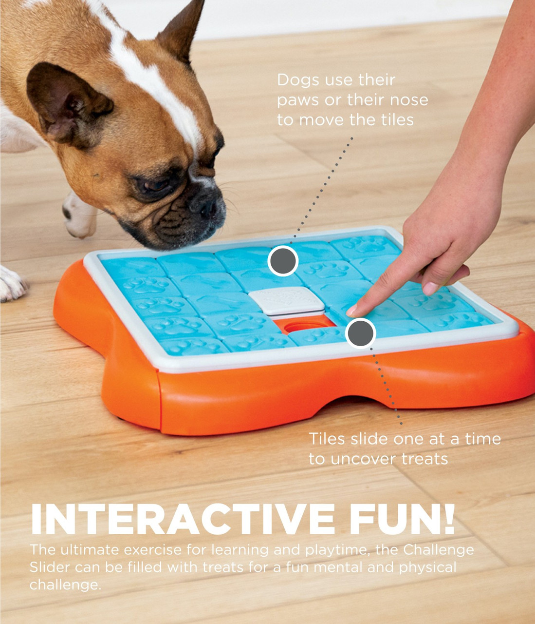 Dog Activity SLIDE & FUN, strategy game, ø 23 - Puzzles - Electric