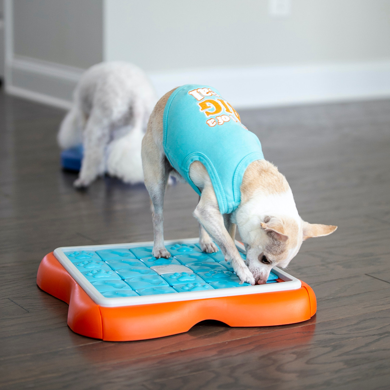 Outward Hound Twister Puzzle Toy — Jeffrey's Natural Pet Foods