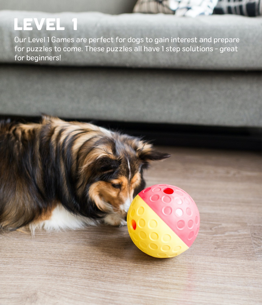 Nina Ottosson by Outward Hound Treat Tumble Interactive