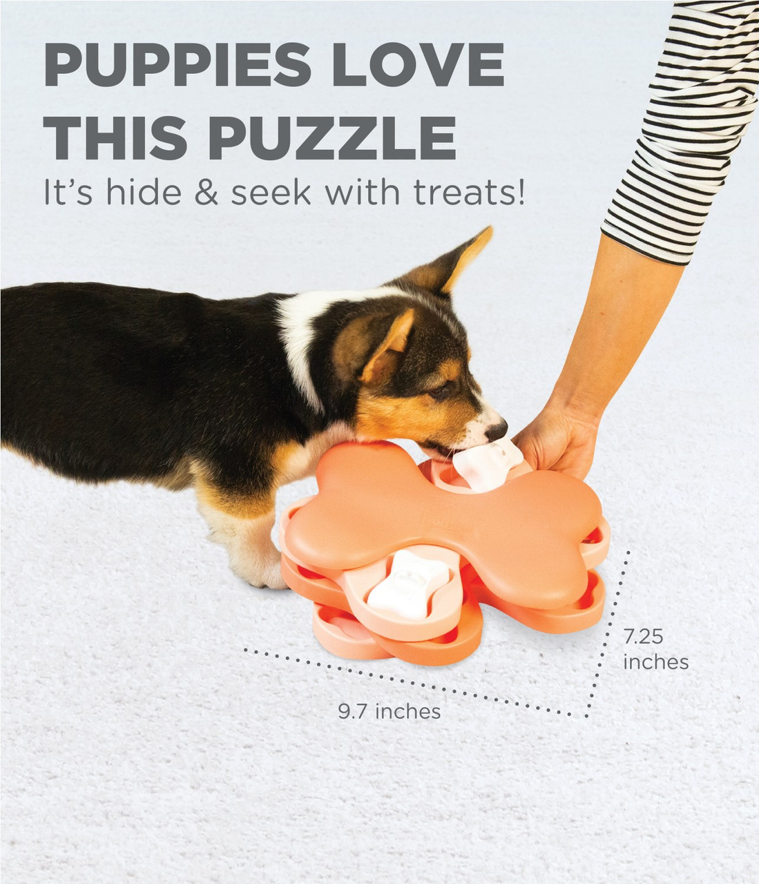 Nina Ottosson Dog Tornado Puzzle Toy – The Woof Club