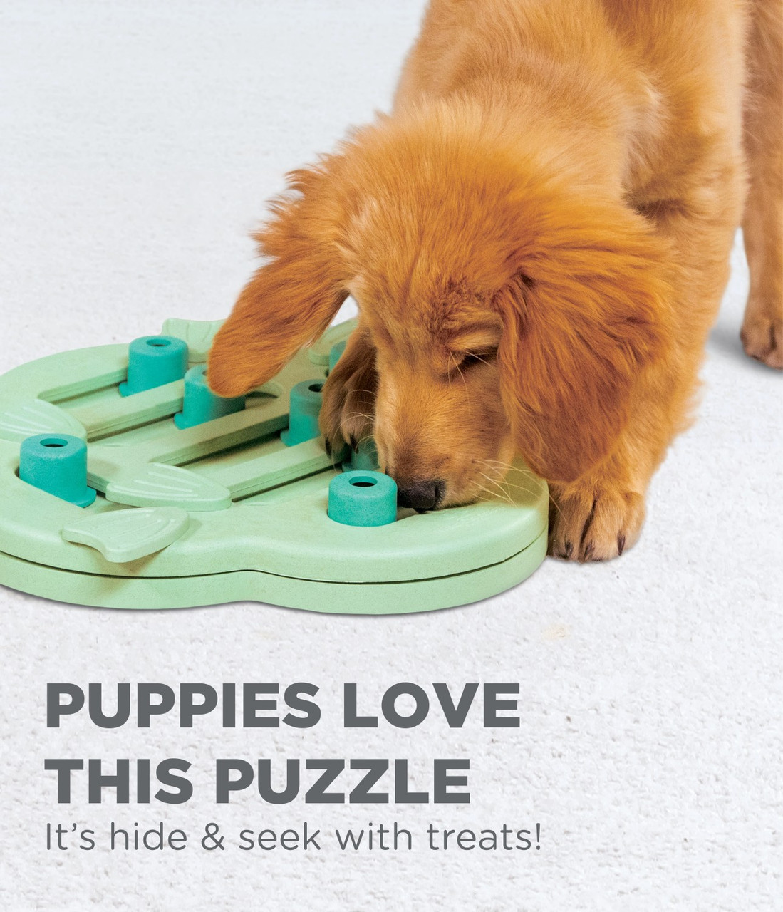 Hide 'N Slide Puzzle for Puppies – Fun Time Dog Shop