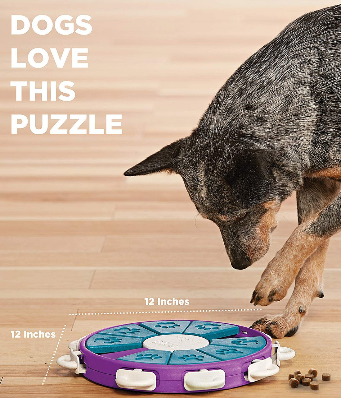 Dog Puzzle Pet Food, Educational Dog Toy
