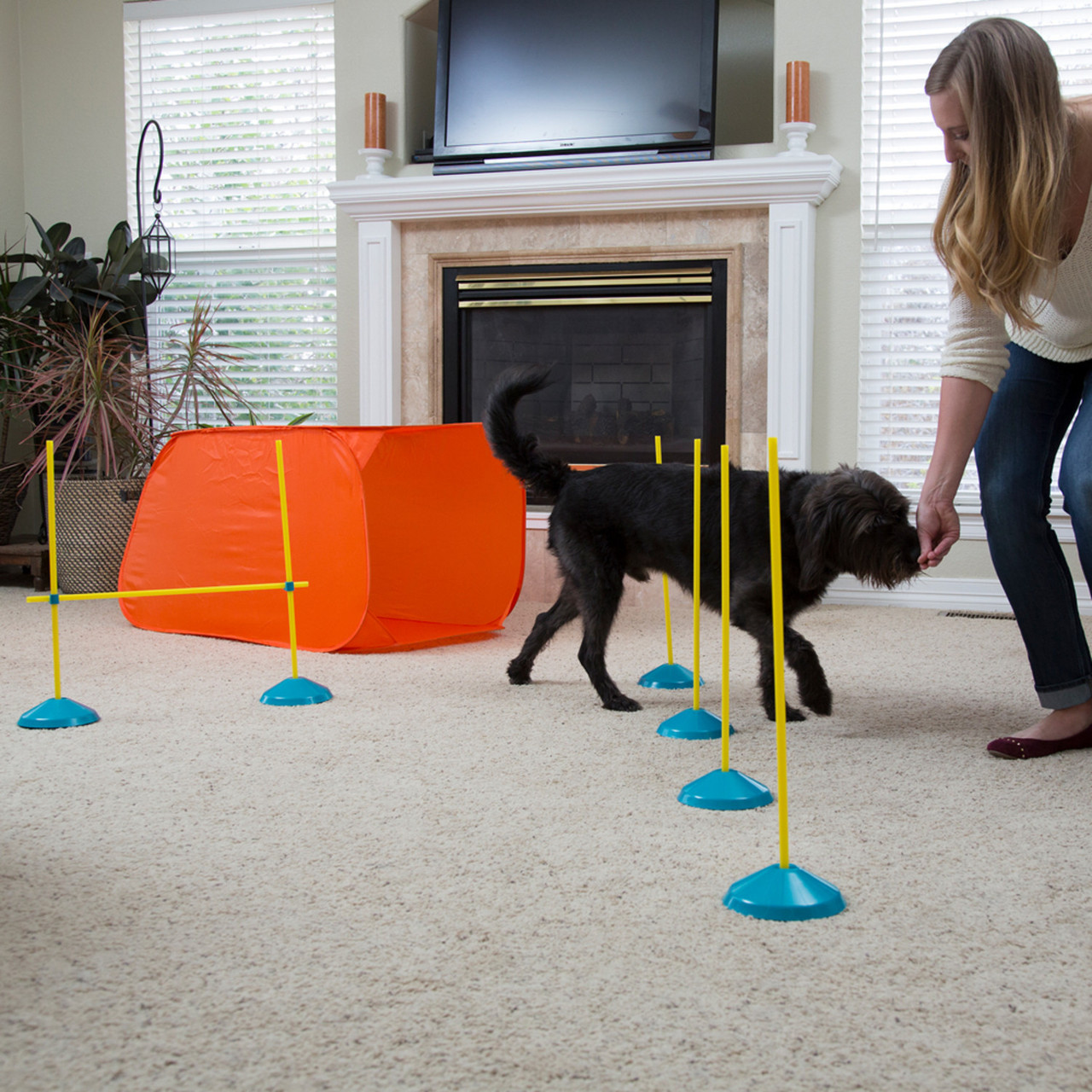 Outward Hound Zip & Zoom Indoor Dog Agility Training Kit