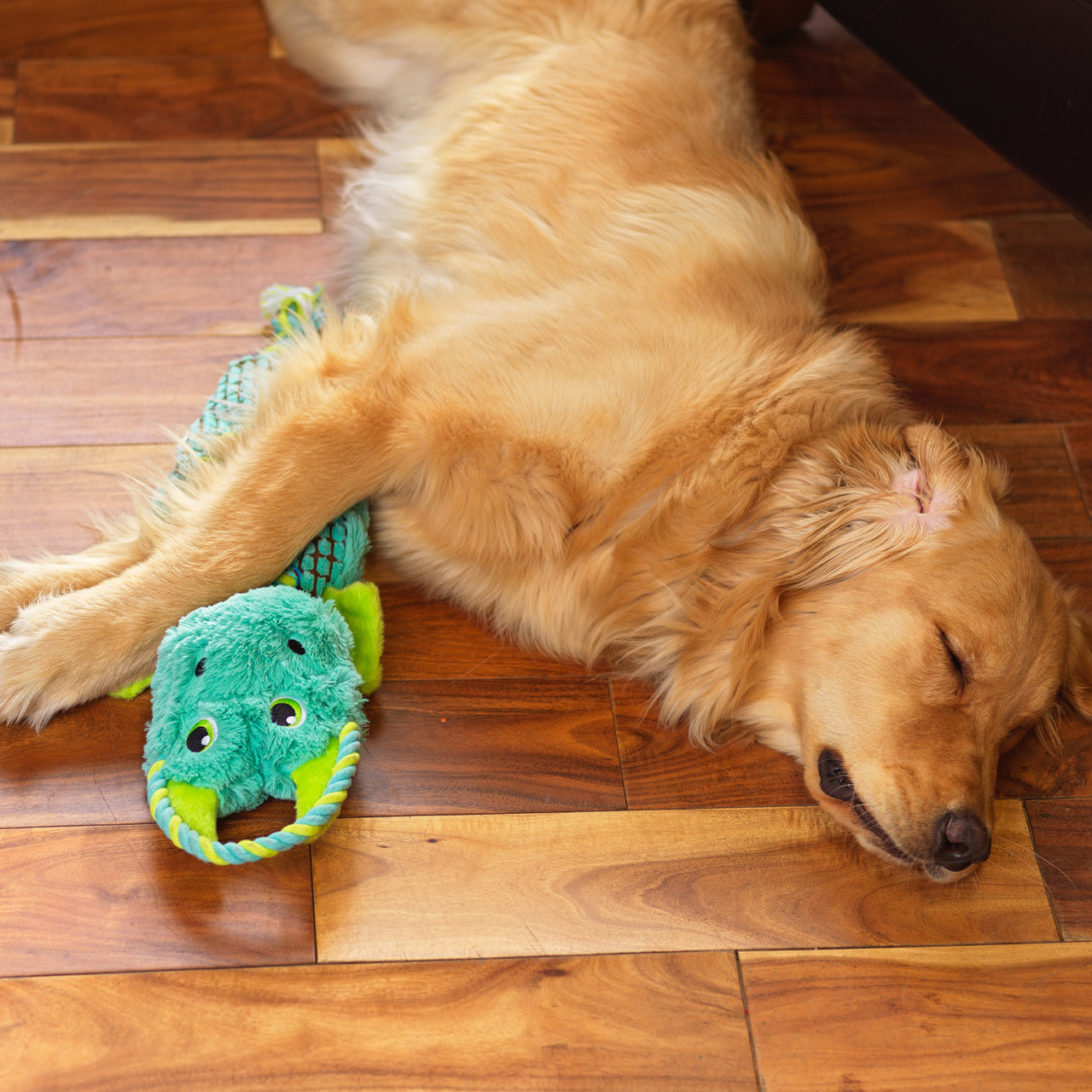 Outward Hound Ropiez Dragon Rope Dog Toy, Multi, Large