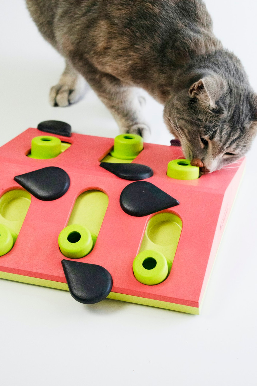 Jogo Interativo para Gatos - NINA OTTOSSON Melon Madness Puzzle