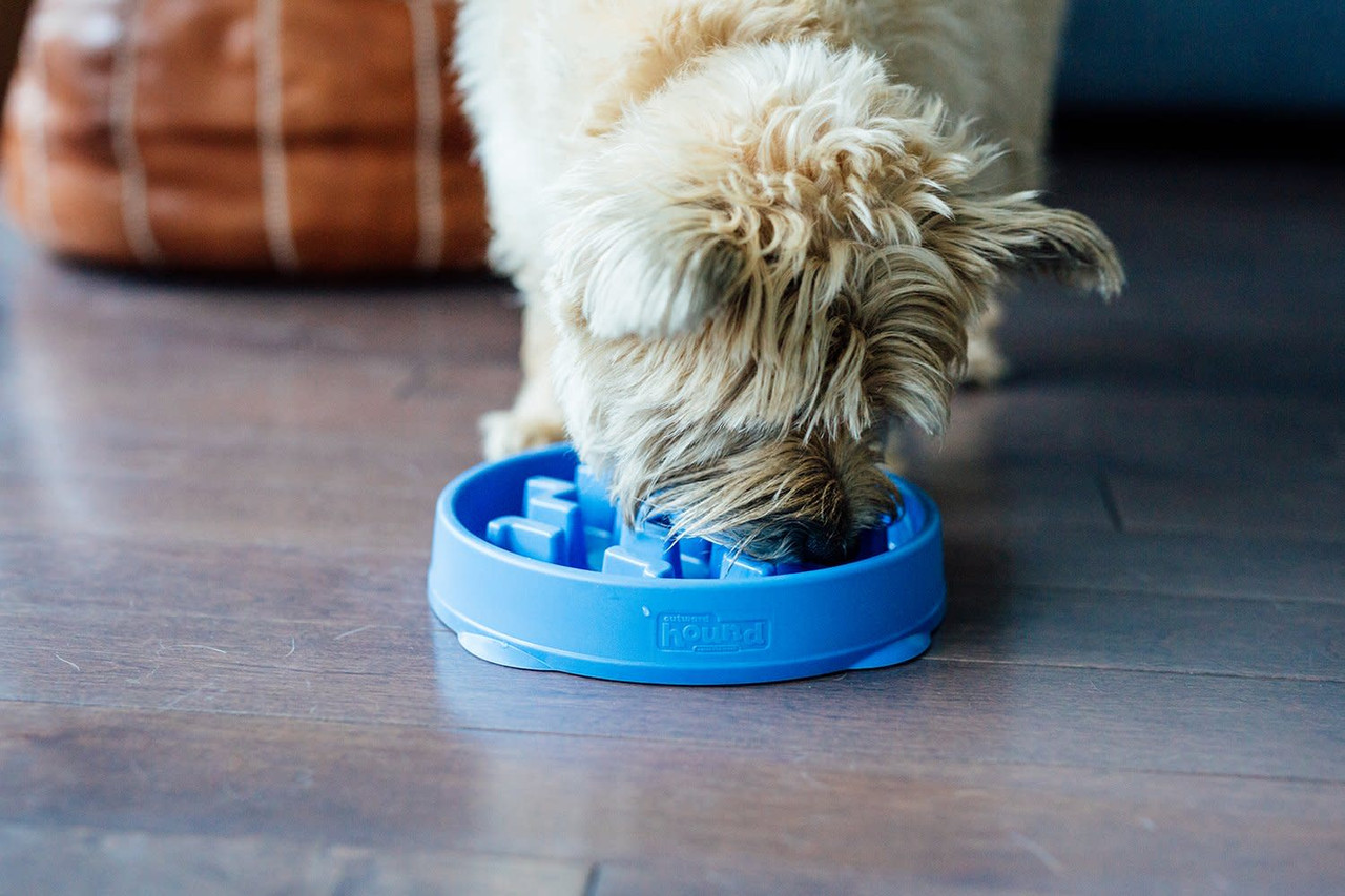 Slow Slo-Bowl Fun Feed Feeder Bowl for Small Dogs