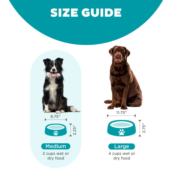 barking heads wet dog food Hair Necessities Salmon Wet Dog Food