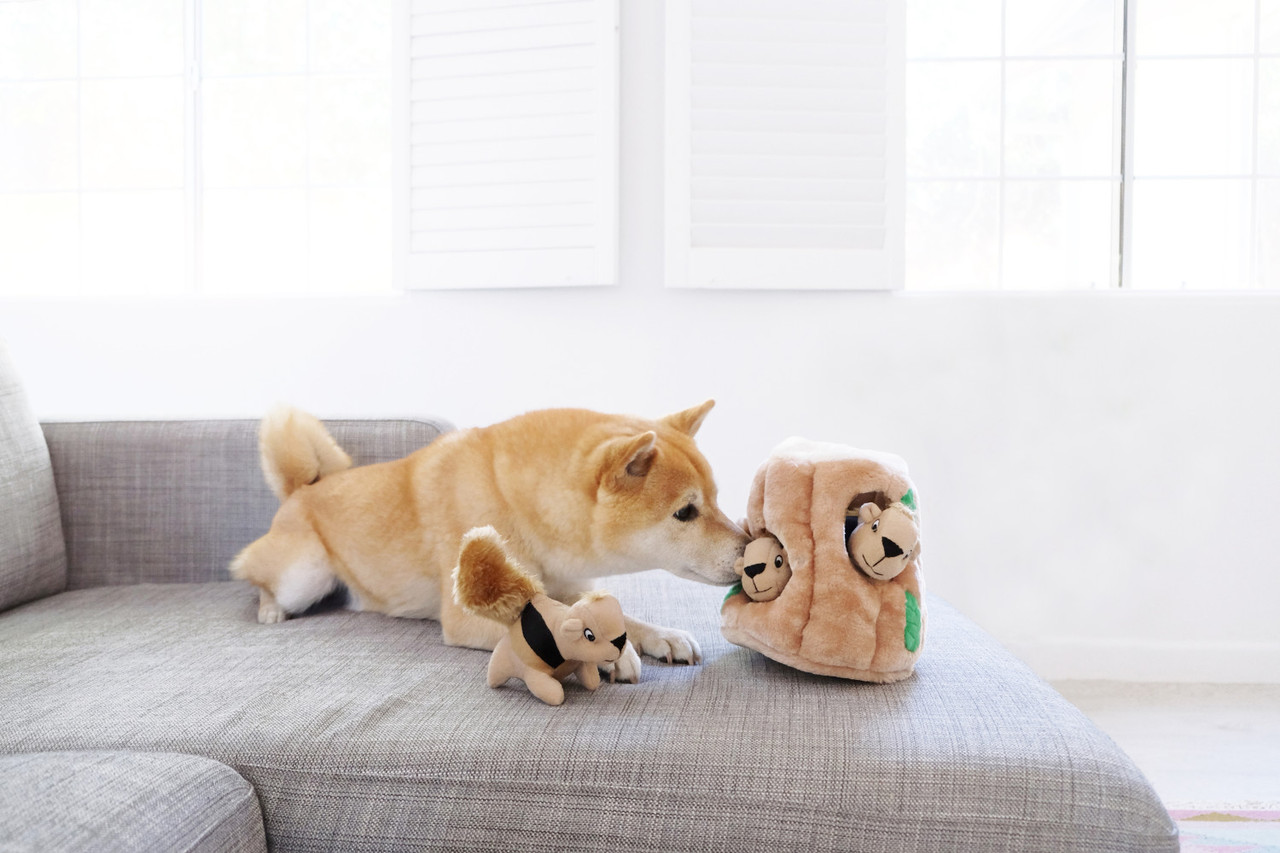 Outward Hound Hide A Taco Plush Dog Toy Puzzle