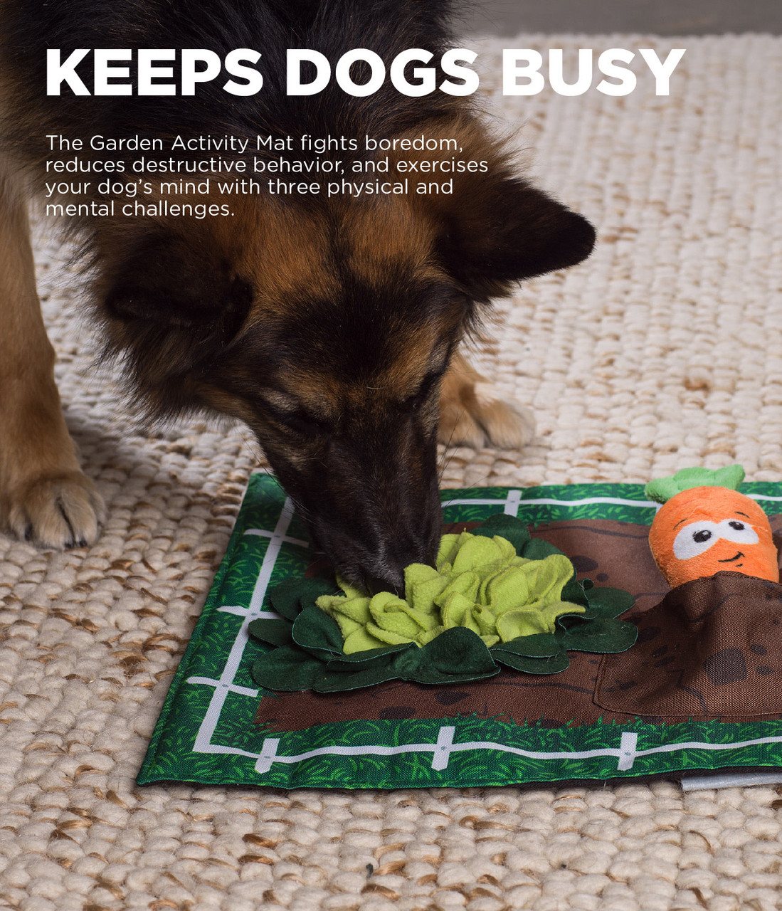 OUTWARD HOUND Activity Matz Fast Food Fun Dog Puzzle Mat - The Fish & Bone