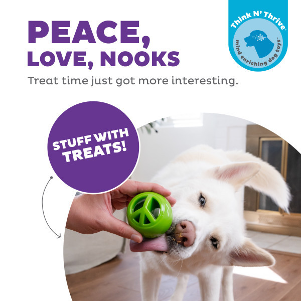 Planet Dog Orbee-Tuff Nooks, Peace, Green
