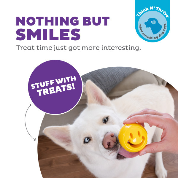 プランターセット 10個 THE HAPPIEST DOG プランターセット 10個 THE HAPPIEST DOG プランターセット 10個 THE