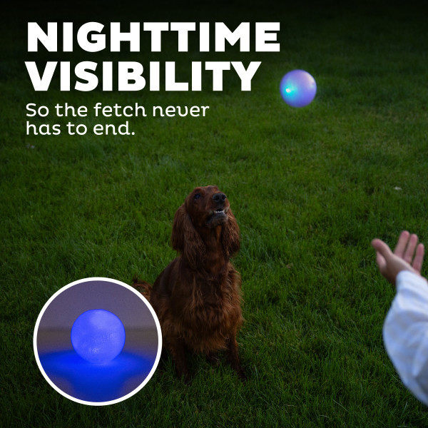 Orbee-Tuff Strobe Light Up Dog Ball - Main Image