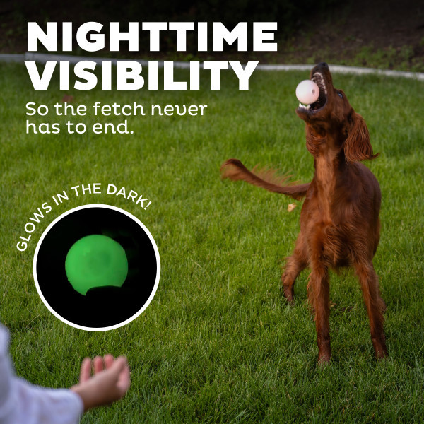 Orbee-Tuff Strobe Light Up Dog Ball