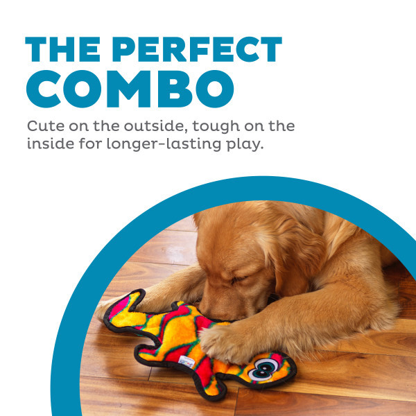 Durablez Gecko Plush Dog Toy, Medium