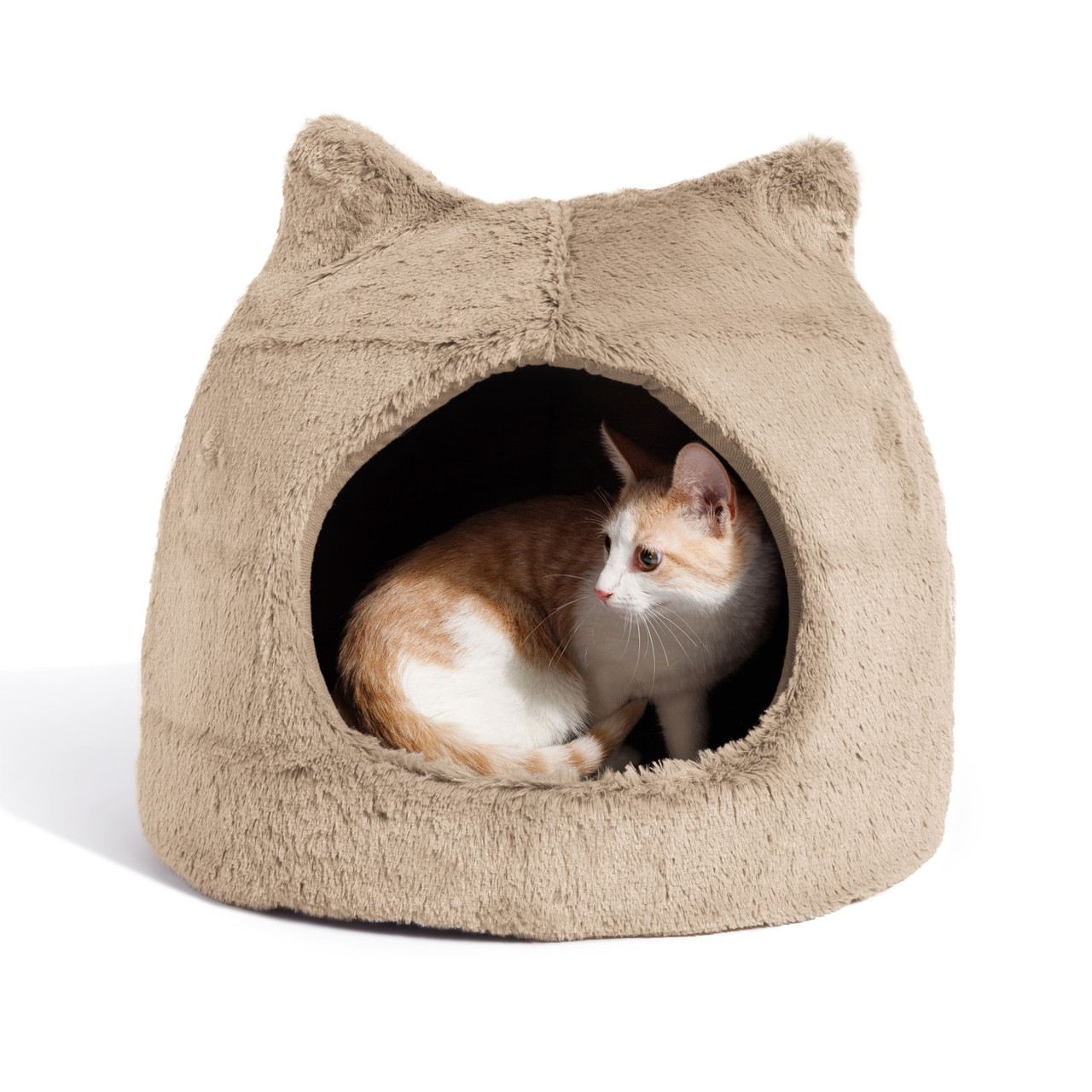 Covered hot sale cat beds