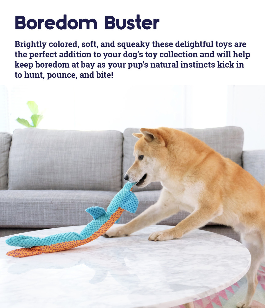 Stuffing-Free Big Squeak Dog Toy