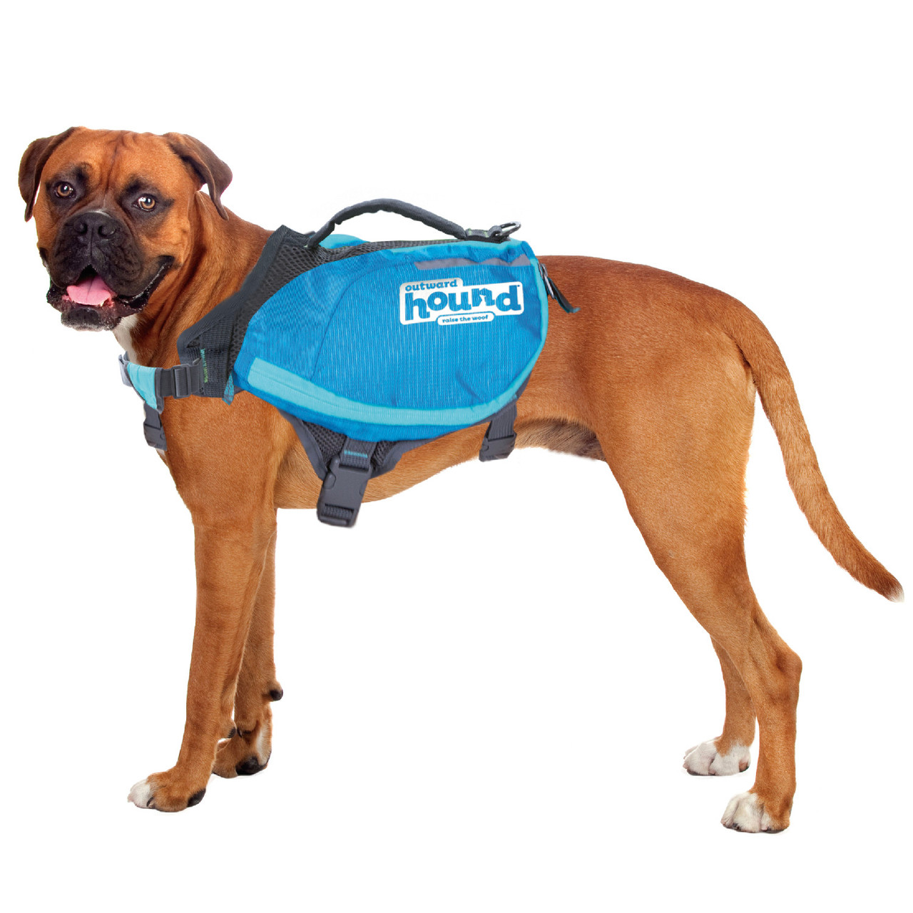 Aanpassingsvermogen Postcode Overtreffen DayPak Saddleback-Style Dog Backpack, Large