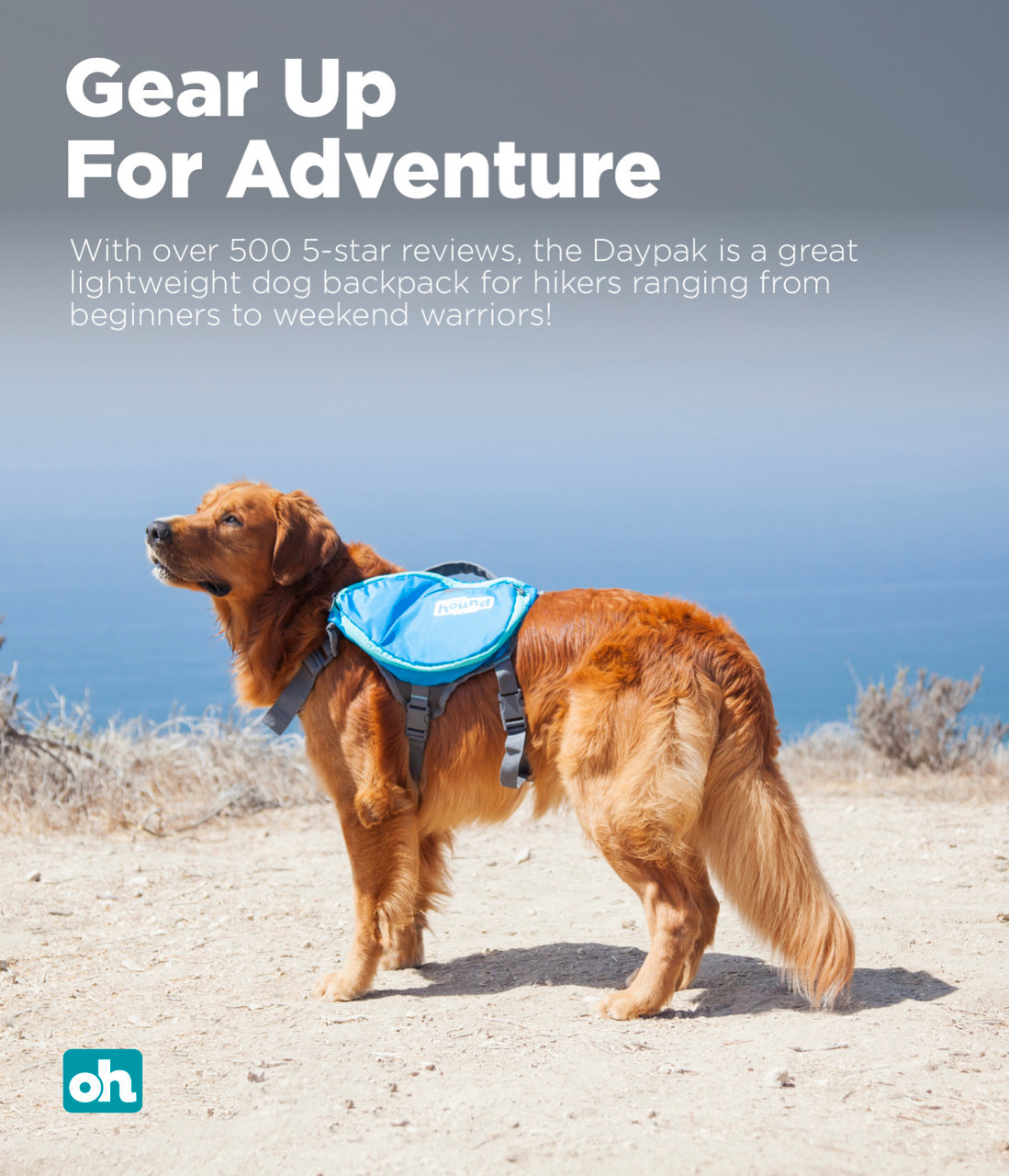 Outward Hound DayPak for Dogs