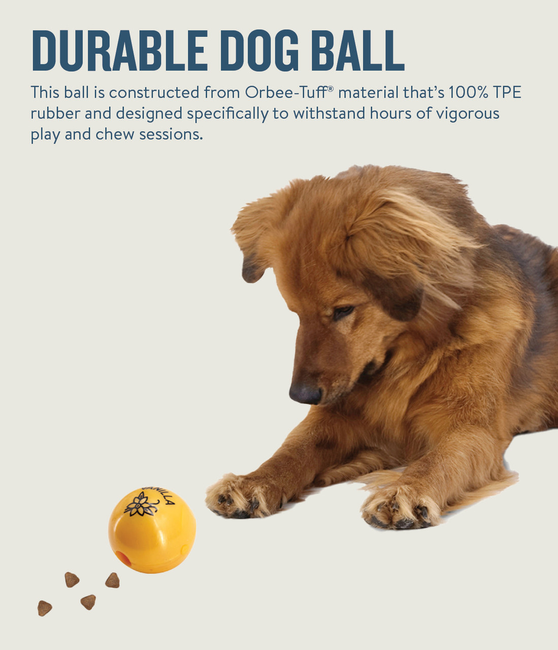 Orbee Ball – Indestructible Dog