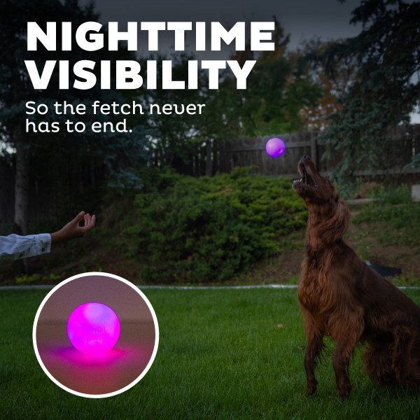 vibrating light up dog toy Pet Supplies : Jumping Activation Ball for Dogs, Jumping Activation Dog Toys,  Bouncing Light up Balls Flashing for Dogs,Dog Ball Flashing Lighted Toys  for Small Dogs, Interactive Dog Toy Ball with LED main image 0