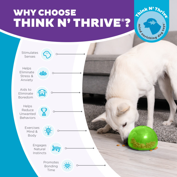 Planet Dog Snoop Interactive Treat Dispensing Dog Toy