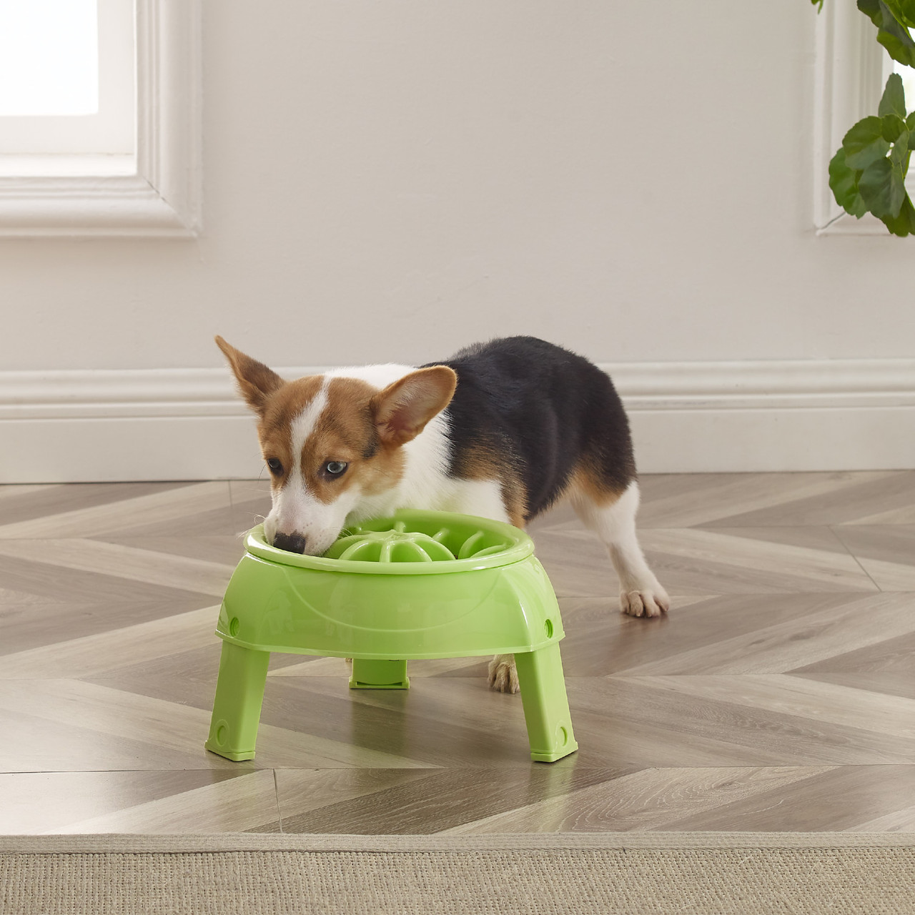 Outward hound Interactive Slow Feeder Dog Bowl (XS 3/4 C.)